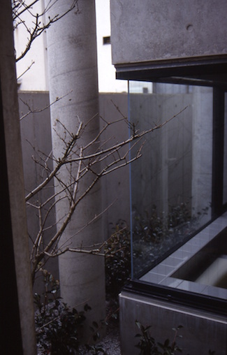 甲子園の家｜ 西 久志建築設計