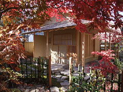 shinnsaku2010