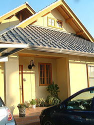 shinnsaku2006