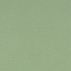 pdt_flr_clr_ncd138