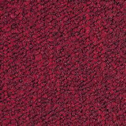 LLL-261.TIFF