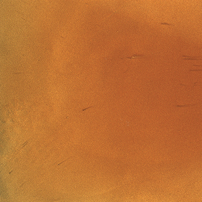 ビジョットシャイニーカラー