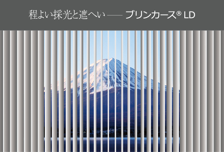 ブリンカースLD
