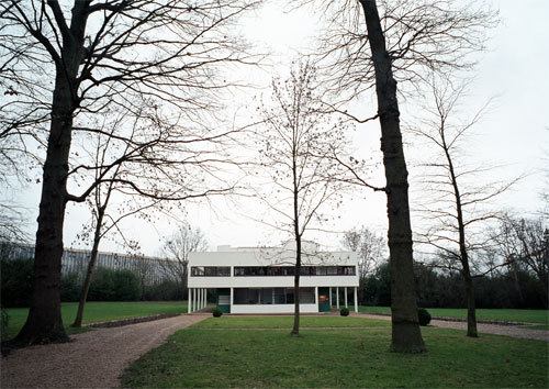 フォトブログwdbear