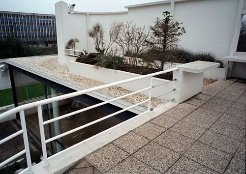 フォトブログwdbear