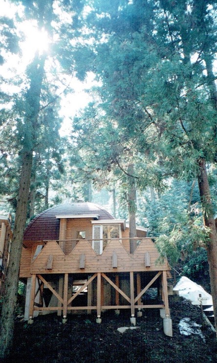 どんぐり小屋のデッキには杉の木が貫通している。おとぎ話の小人の家のような佇まいをみせる