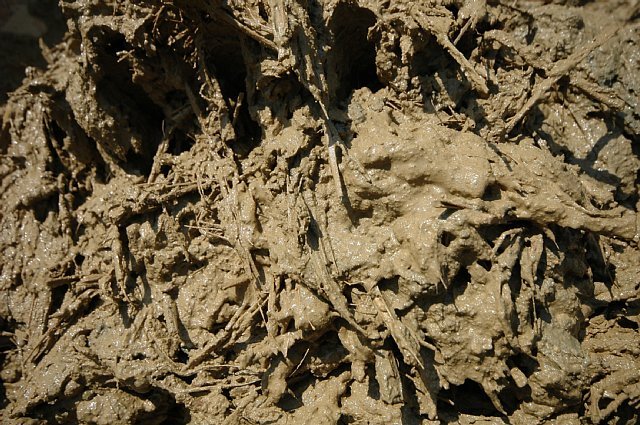 南禅寺の家 | 設計事例 | 土壁のトヨ...