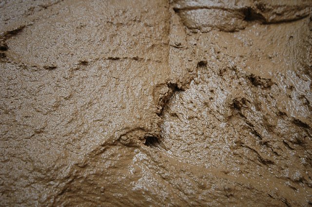 南禅寺の家 | 設計事例 | 土壁のトヨ...