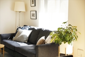 理想の暮らしを楽しむデザイン | リノベ...