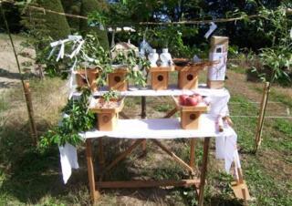 無添加住宅の家　箕輪町 | 長野県上田市...