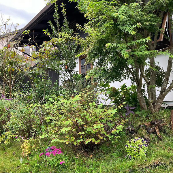 住まい手さんの、ふだんの暮らし | シン...