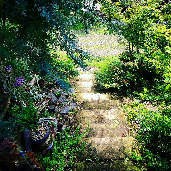 住まい手さんの、ふだんの暮らし | シン...