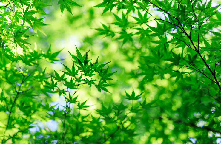 モデルハウス | シンケンスタイル - ...