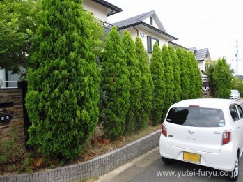 外も内もすっきりとした目隠しフェンスに変...