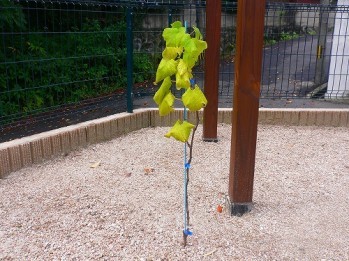 木製パーゴラと耐火レンガのバーベキュー炉...