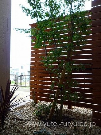 目隠しを兼ねた坪庭　直方市 | 福岡・北...