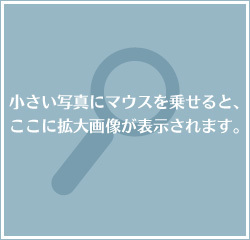 スワップ画像