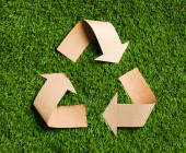 Environment | Sustai...