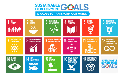 SDG logo