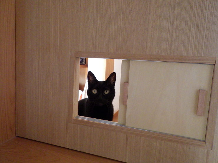 入り口に設置した猫用の引き戸