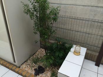 新座市　日陰に強い植物で植栽