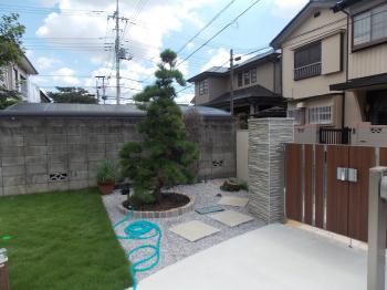 さいたま市　省管理型コウライ芝TM9　リフォーム外構