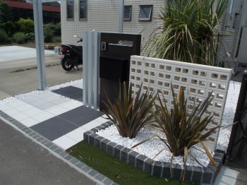 富士見市　ニューサイランを植栽