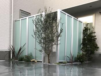 川越市　オリーブ・ソヨゴ等の常緑樹を植栽