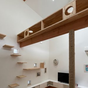 吹抜けを彩る猫窓・天窓のある家 | 前田...