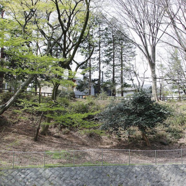 木立に溶け込む家
