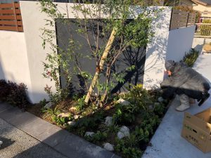 IMG_6801