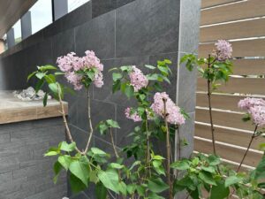 タイルが魅せる！上質で洗練された佇まい　外構リフォーム　山口市　K様邸