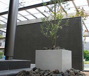 IMG_5194222777