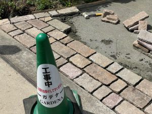 14384146659120