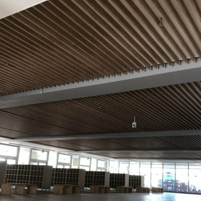 都立学校