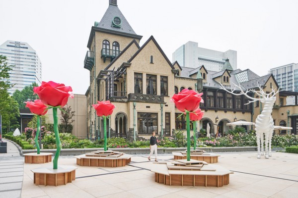 ROSE WEEK 2018 TORAF...