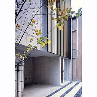 住宅設計｜自然素材の注文住宅、動物病院、...