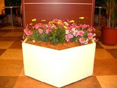観葉植物施工例　ガーデニング