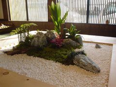 観葉植物施工例　寄せ植え・アレンジメント