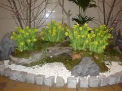 観葉植物レンタル施工事例 | やまと園芸