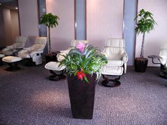 観葉植物レンタル施工事例 | やまと園芸