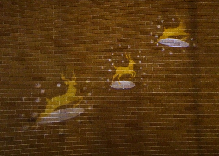 Works-展示/インスタレーション｜ぼ...