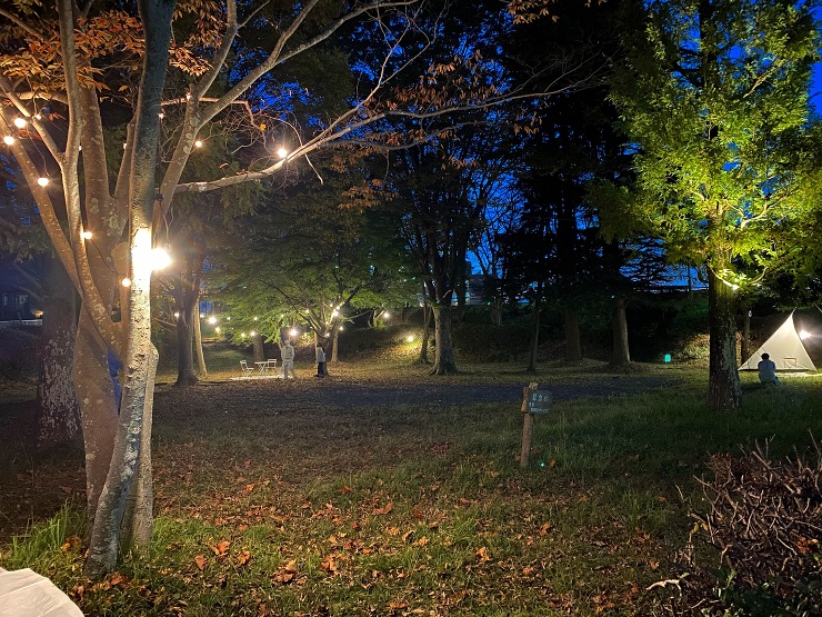 Works-展示/インスタレーション｜ぼ...