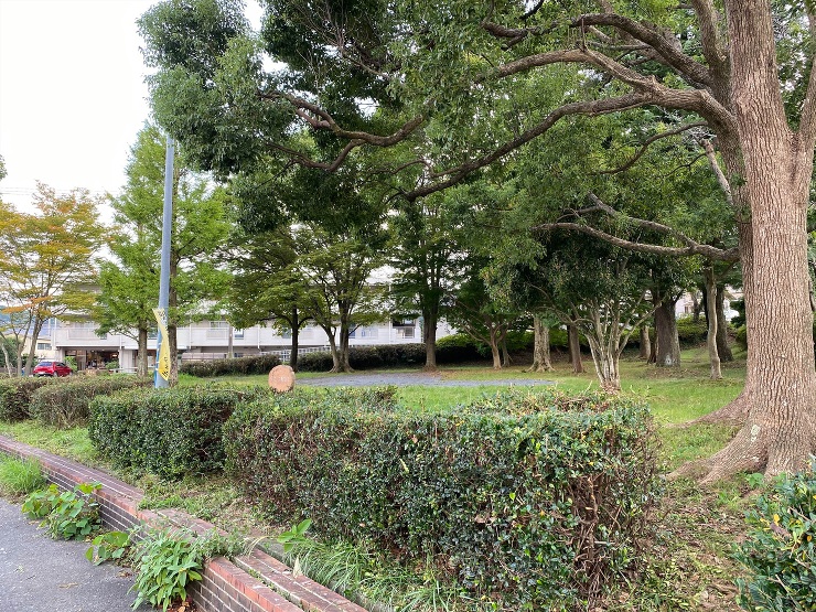 Works-展示/インスタレーション｜ぼ...