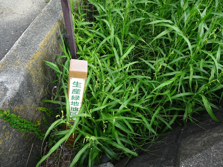 Works-展示/インスタレーション｜ぼ...