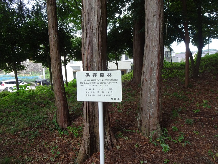 Works-展示/インスタレーション｜ぼ...