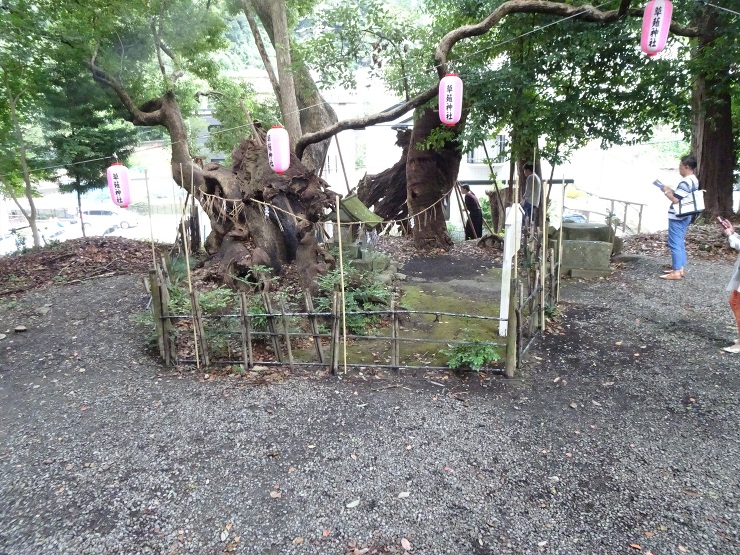 Works-展示/インスタレーション｜ぼ...