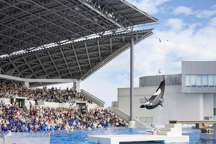 神?須磨シーワールド - 竹中のデザイン...