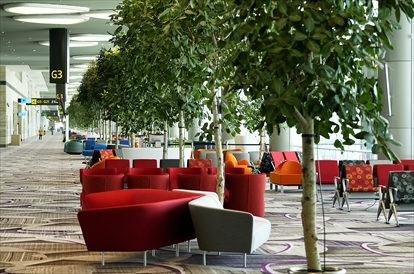Changi Airport Termi...