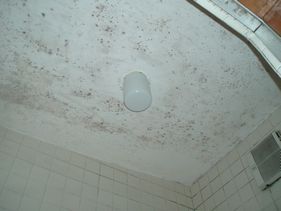 株式会社　駿河設備--浴室施工例６